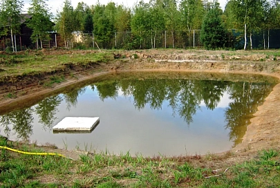 В Кобринском районе на огороде у бабушки утонул четырехлетний ребенок